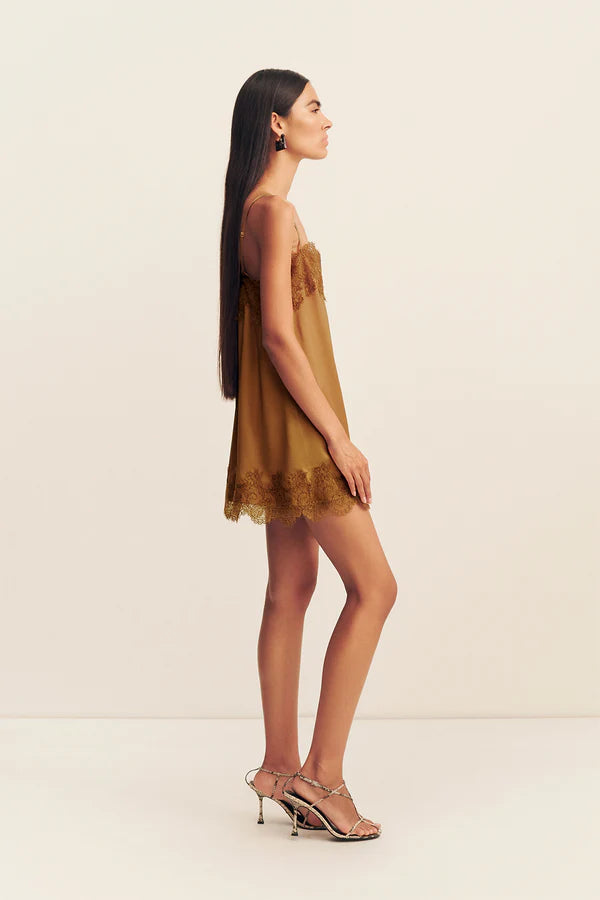 Simona lace mini dress - medallion