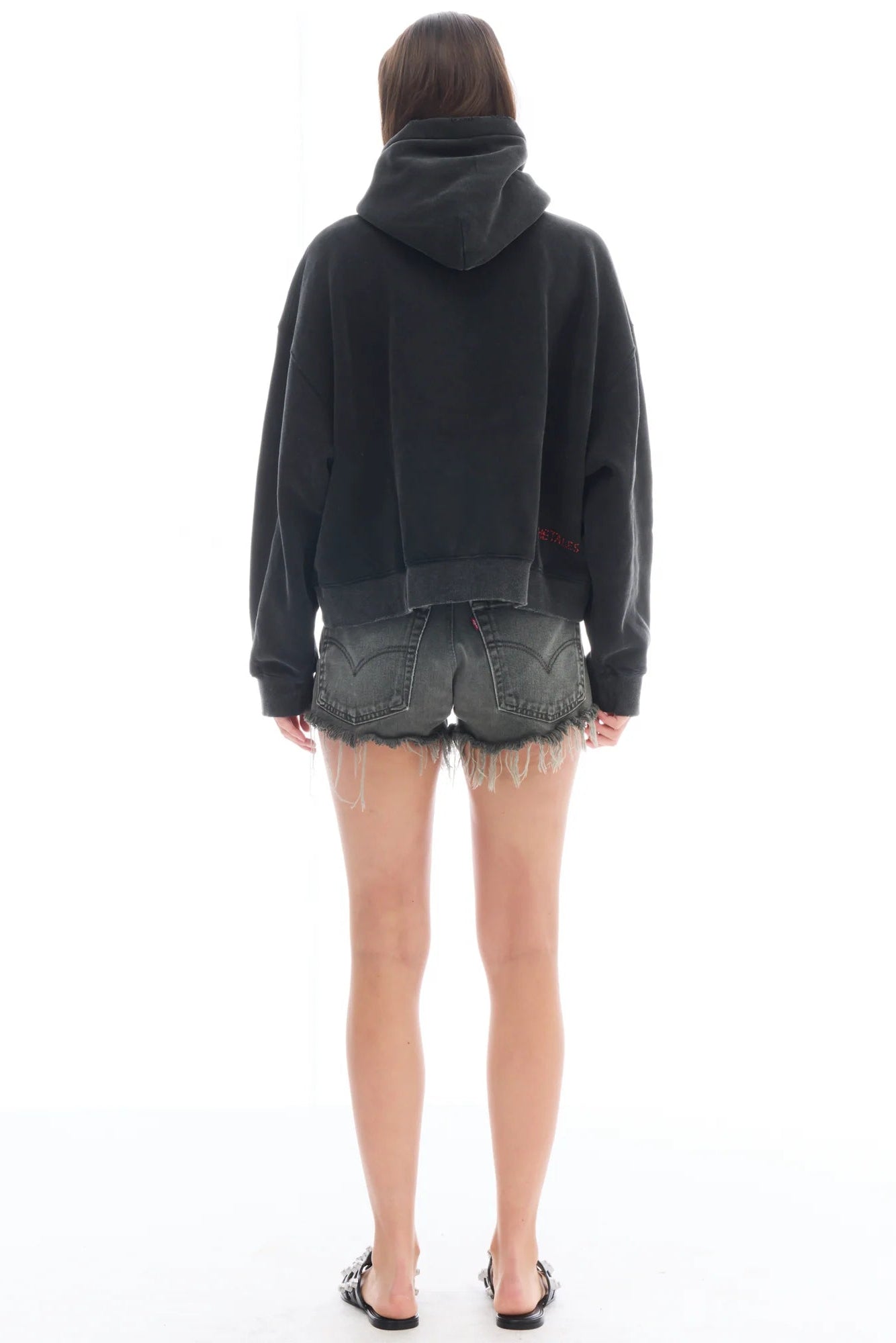 Artist Oversized Crop Hoodie