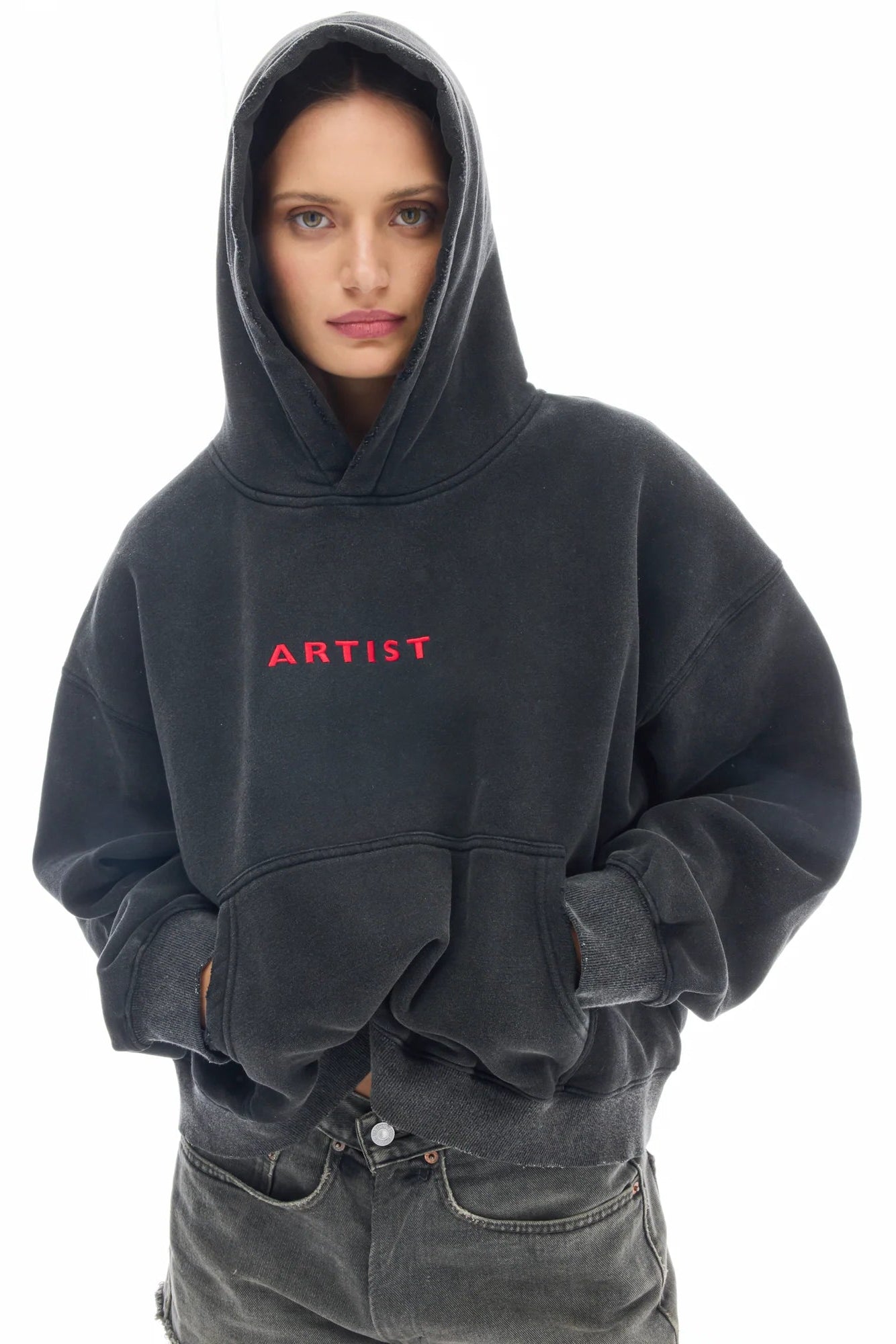 Artist Oversized Crop Hoodie