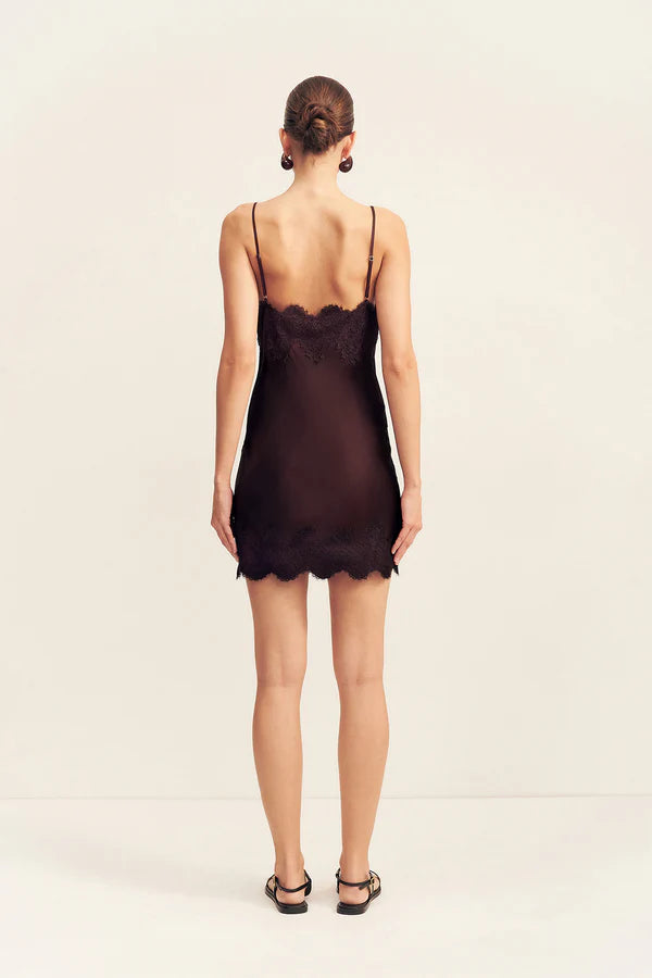 simona lace slip mini dress - espresso