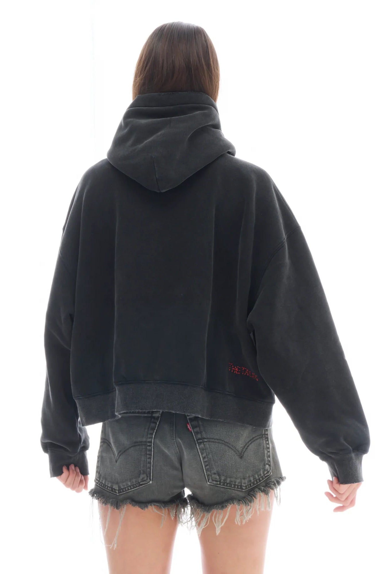 Artist Oversized Crop Hoodie