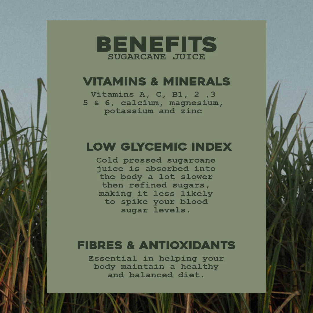 MARGARITA MIXER - CLASSIC