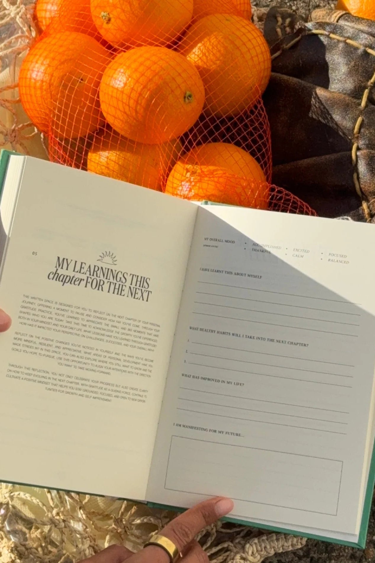 Matcha Green Gratitude Journal
