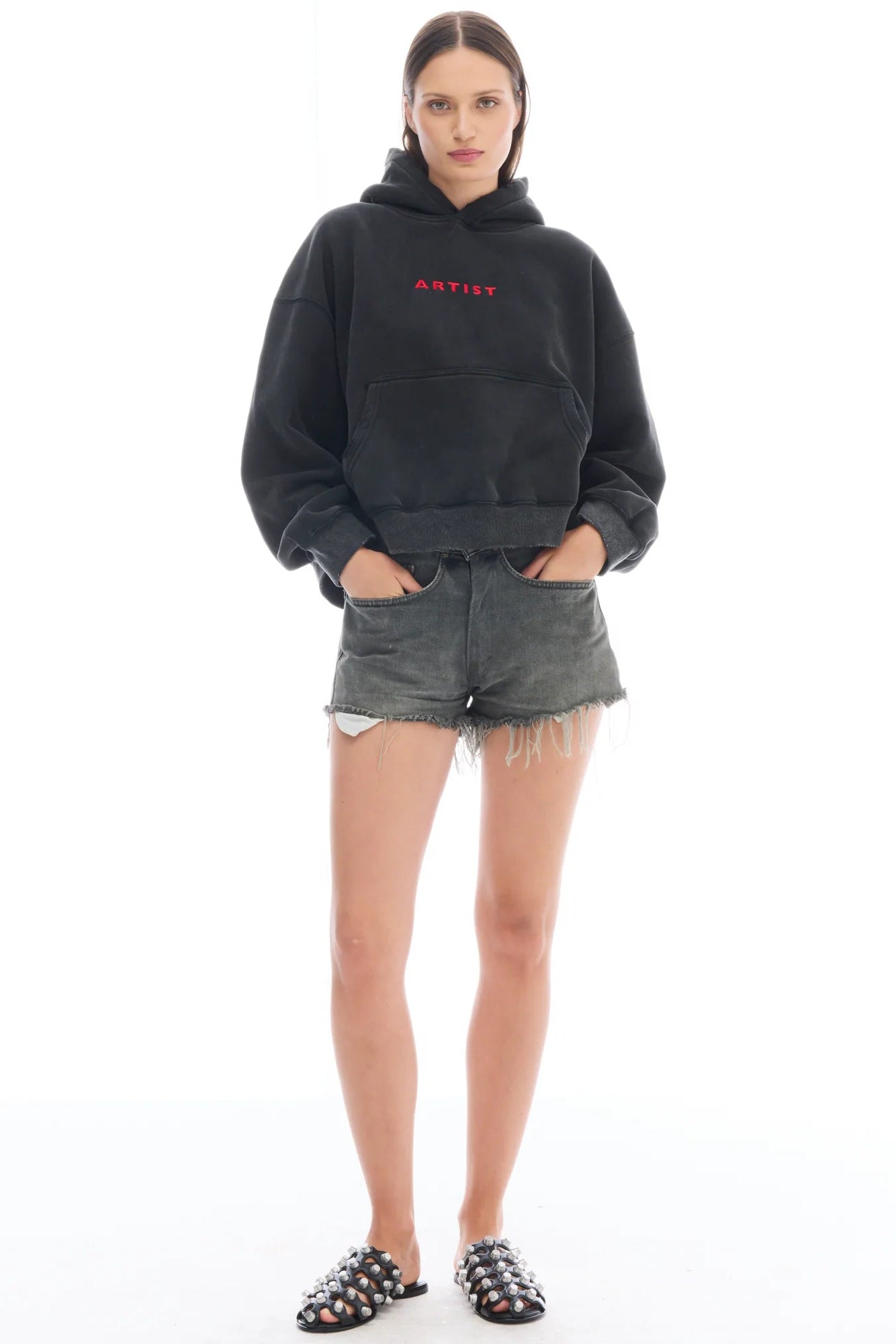 Artist Oversized Crop Hoodie