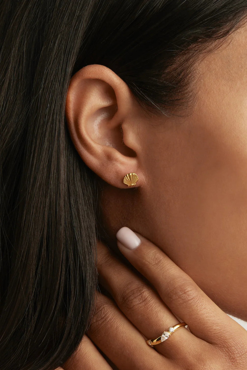 18k Gold Vermeil By the Shore Shell Stud Earrings