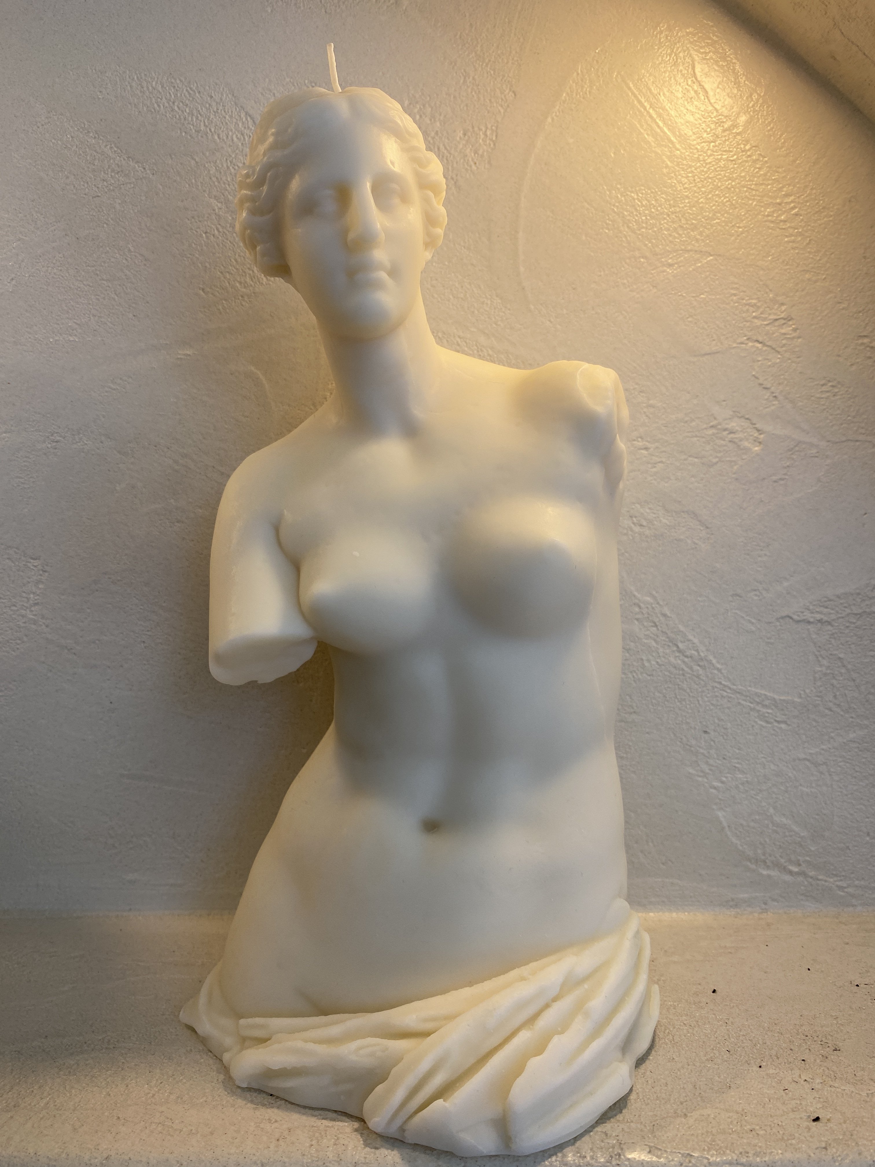 Lejeune Venus Torso