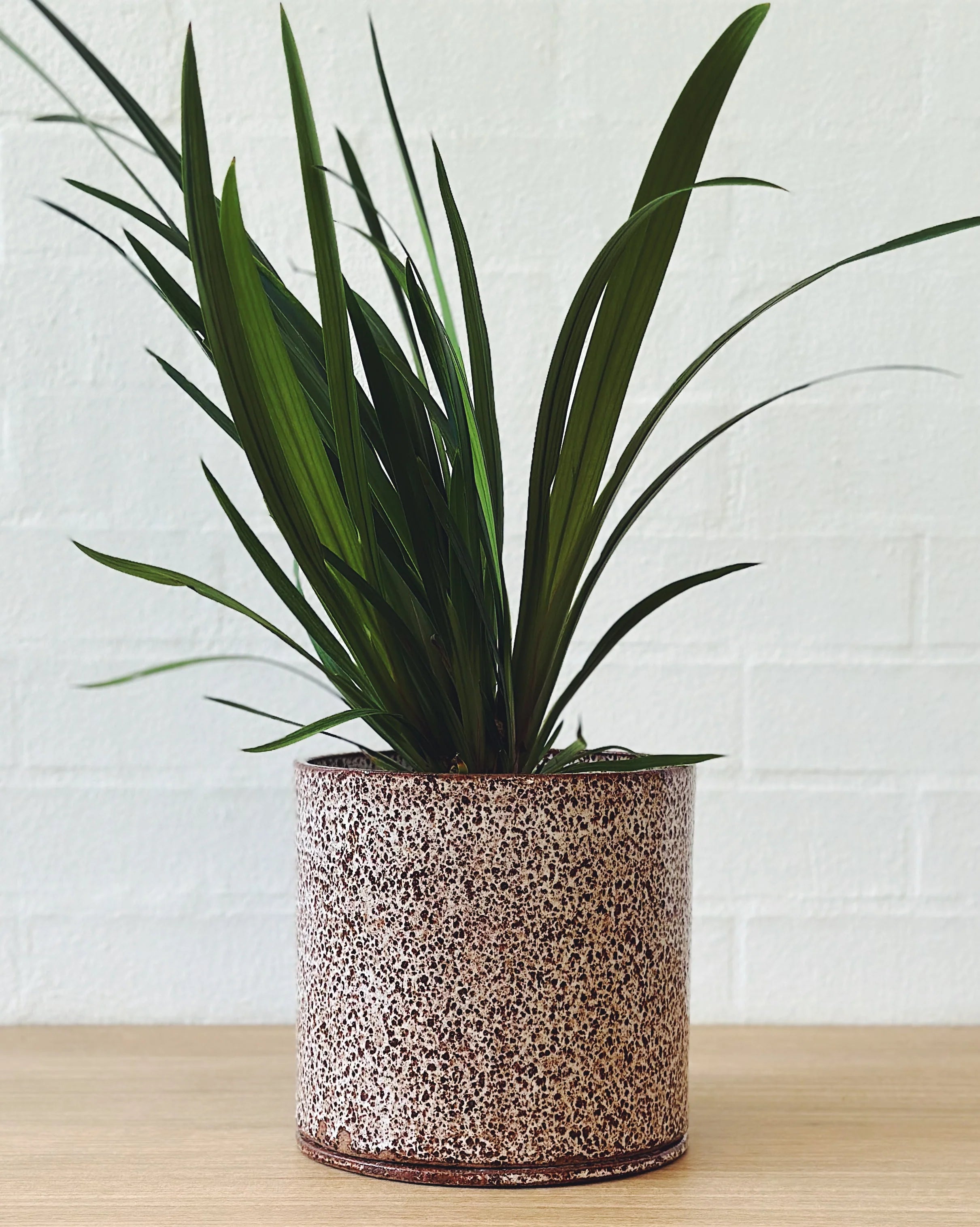 Speckled planter - small