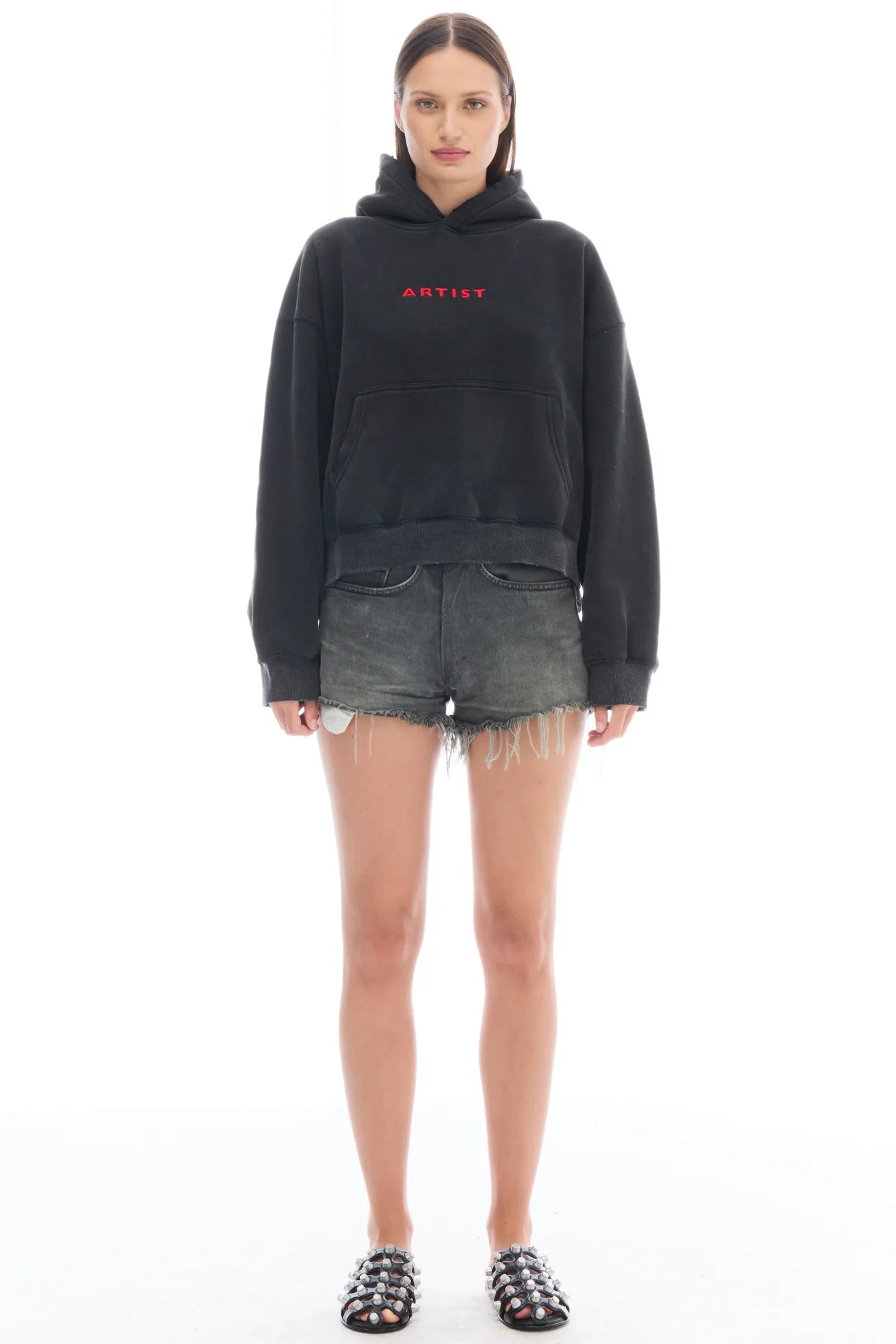 Artist Oversized Crop Hoodie