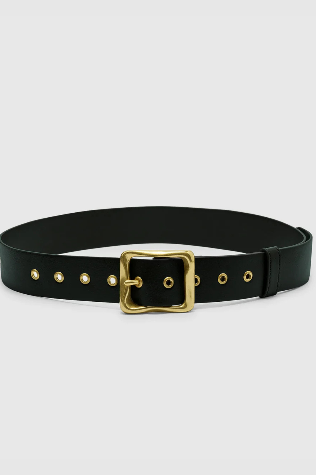 EVERYDAY BUCKLE BELT - BLACK/GOLD