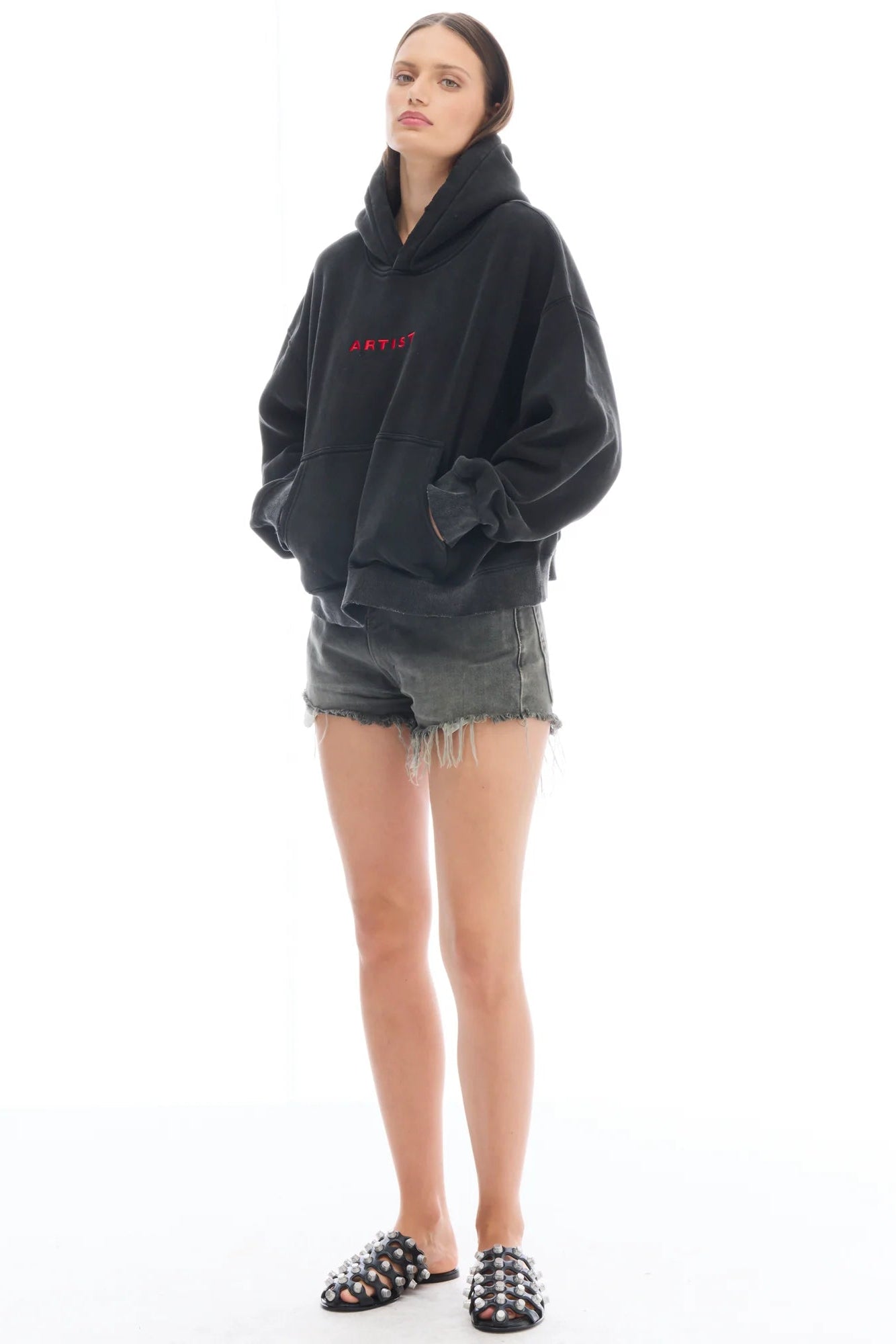 Artist Oversized Crop Hoodie