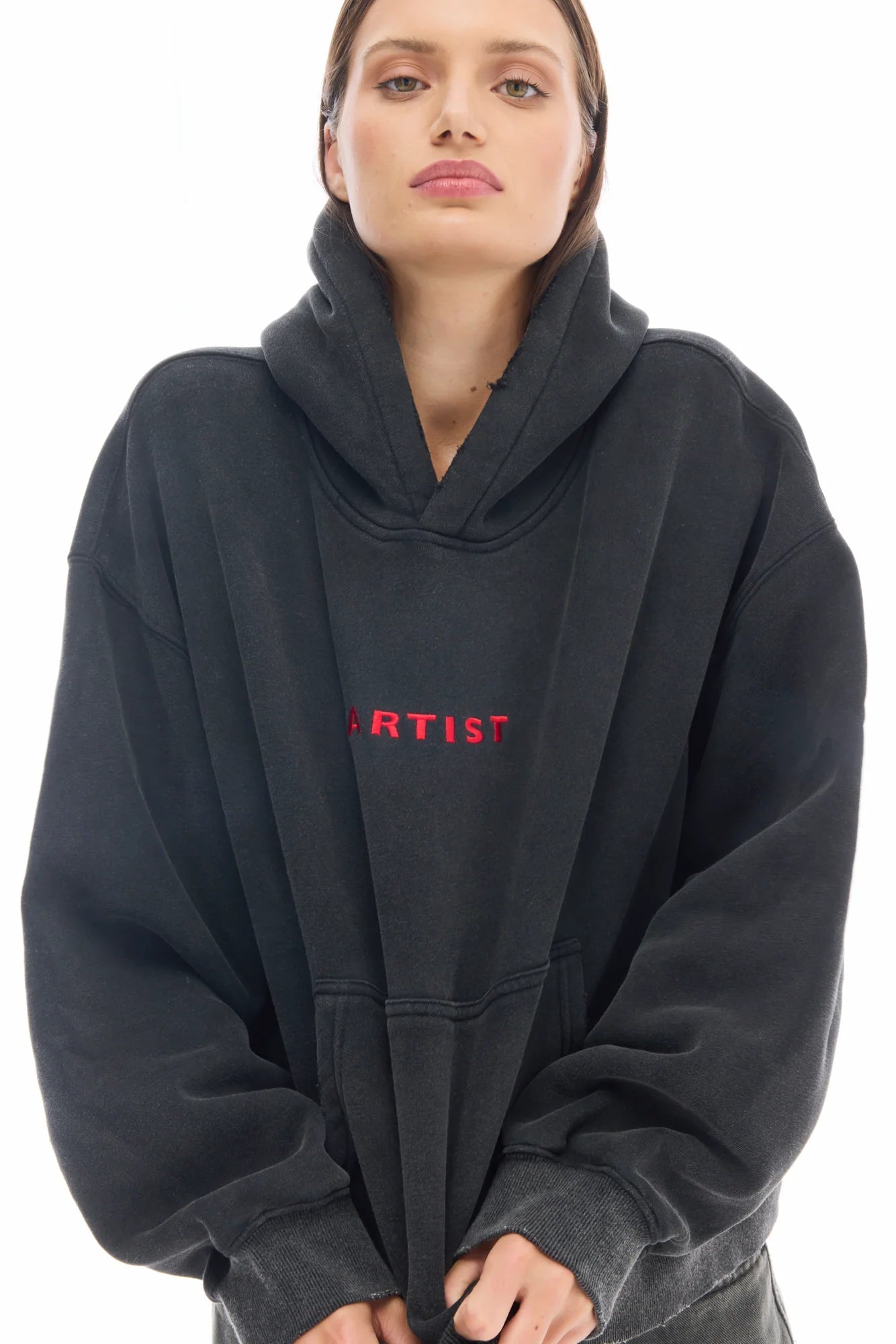 Artist Oversized Crop Hoodie