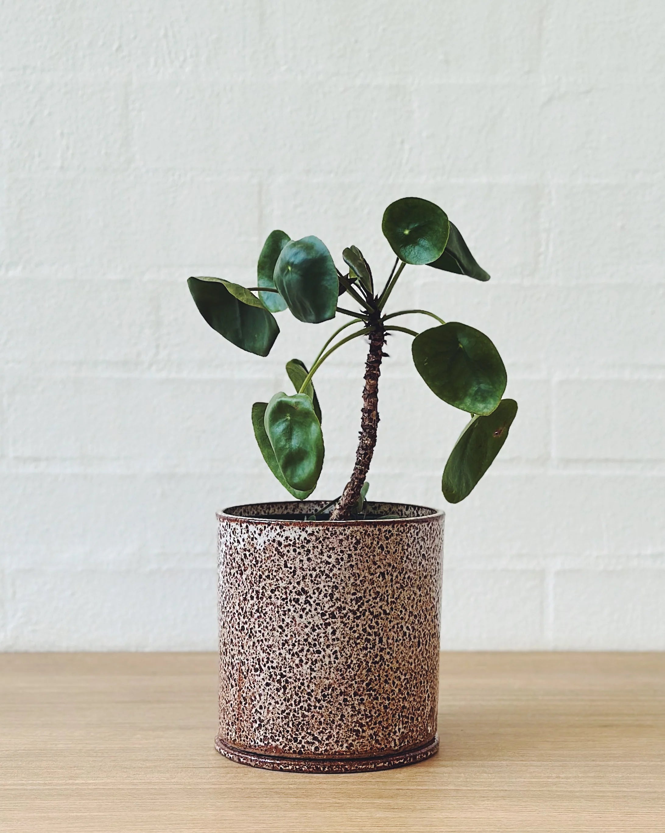 Speckled planter - small