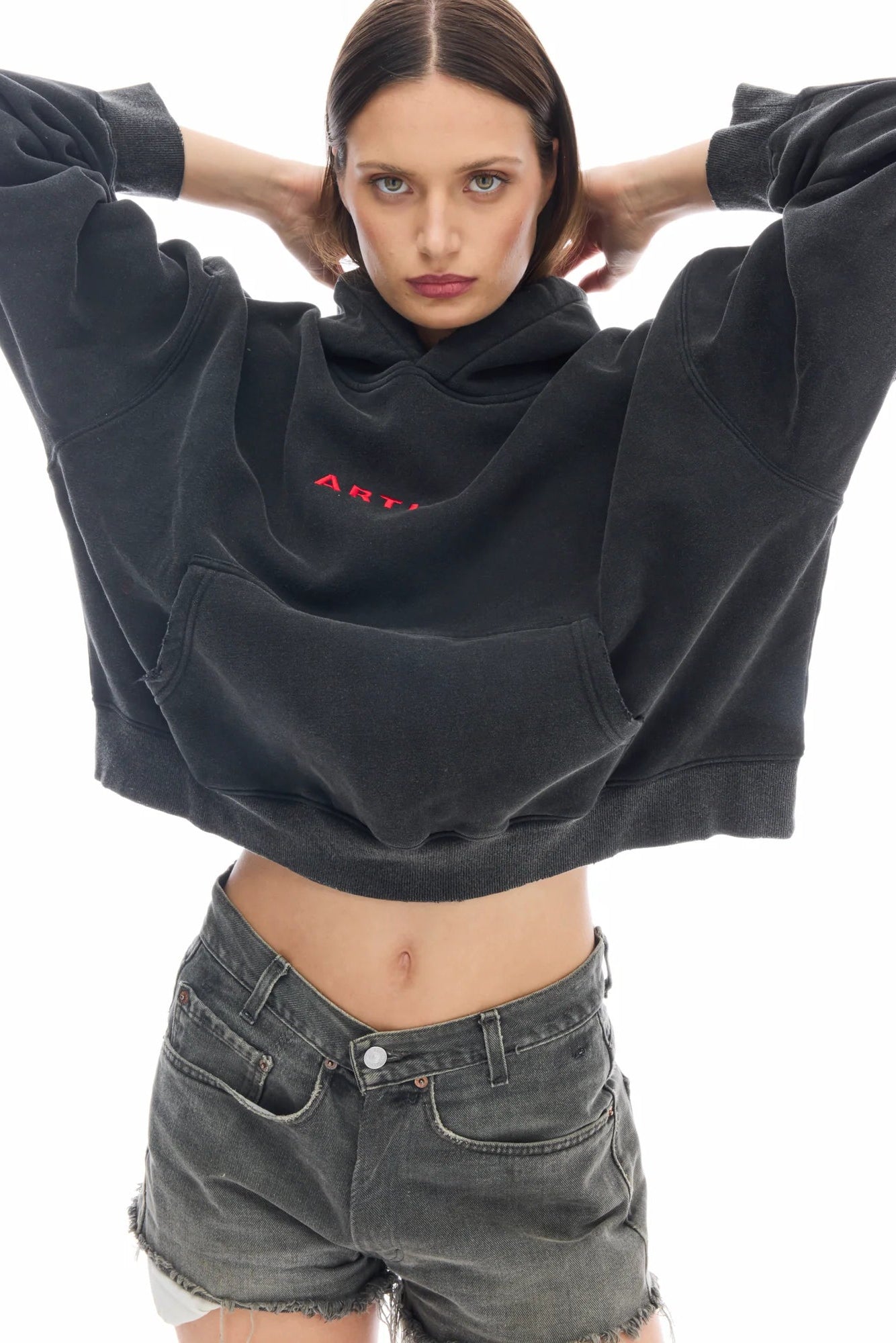 Artist Oversized Crop Hoodie