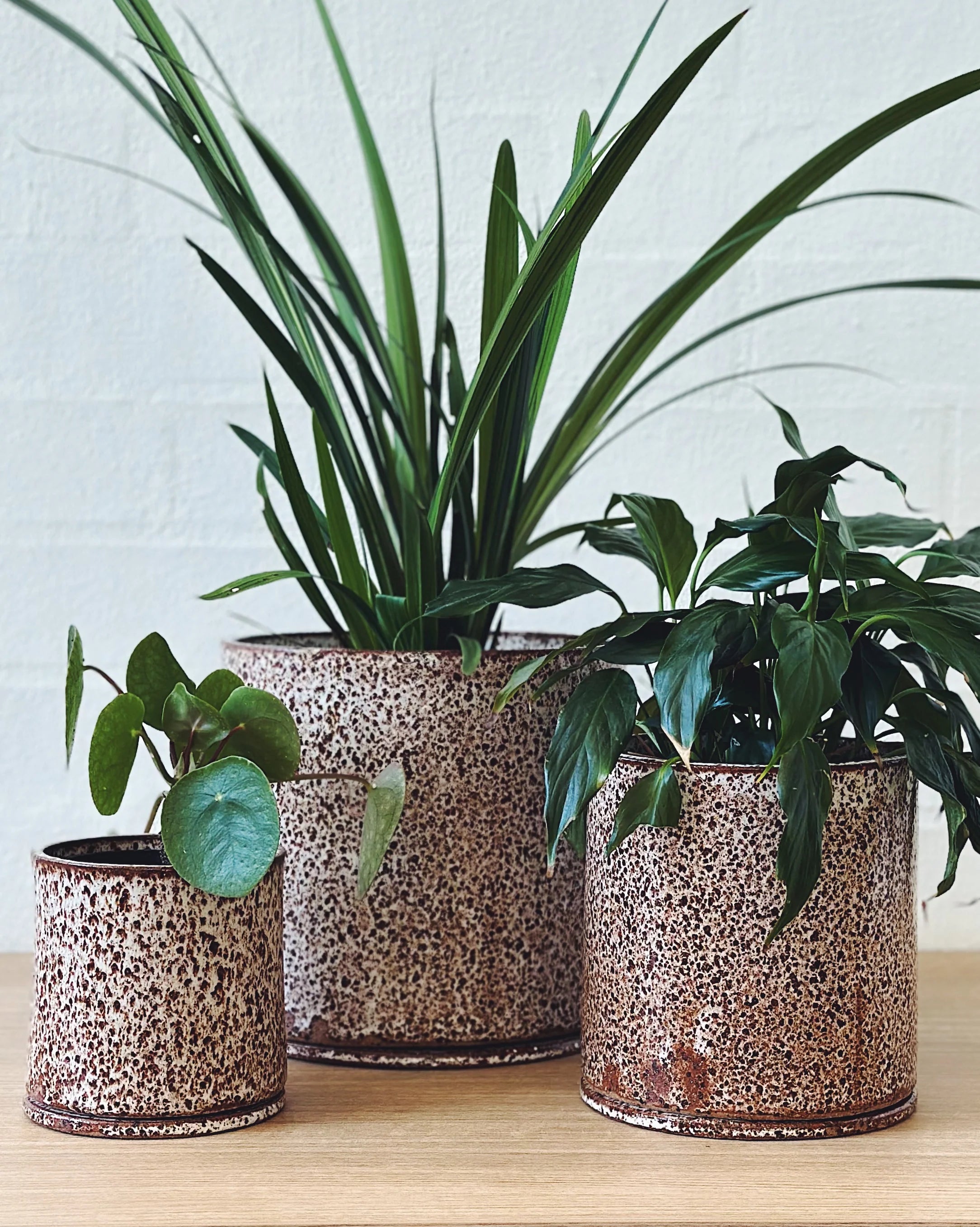 Speckled planter - small