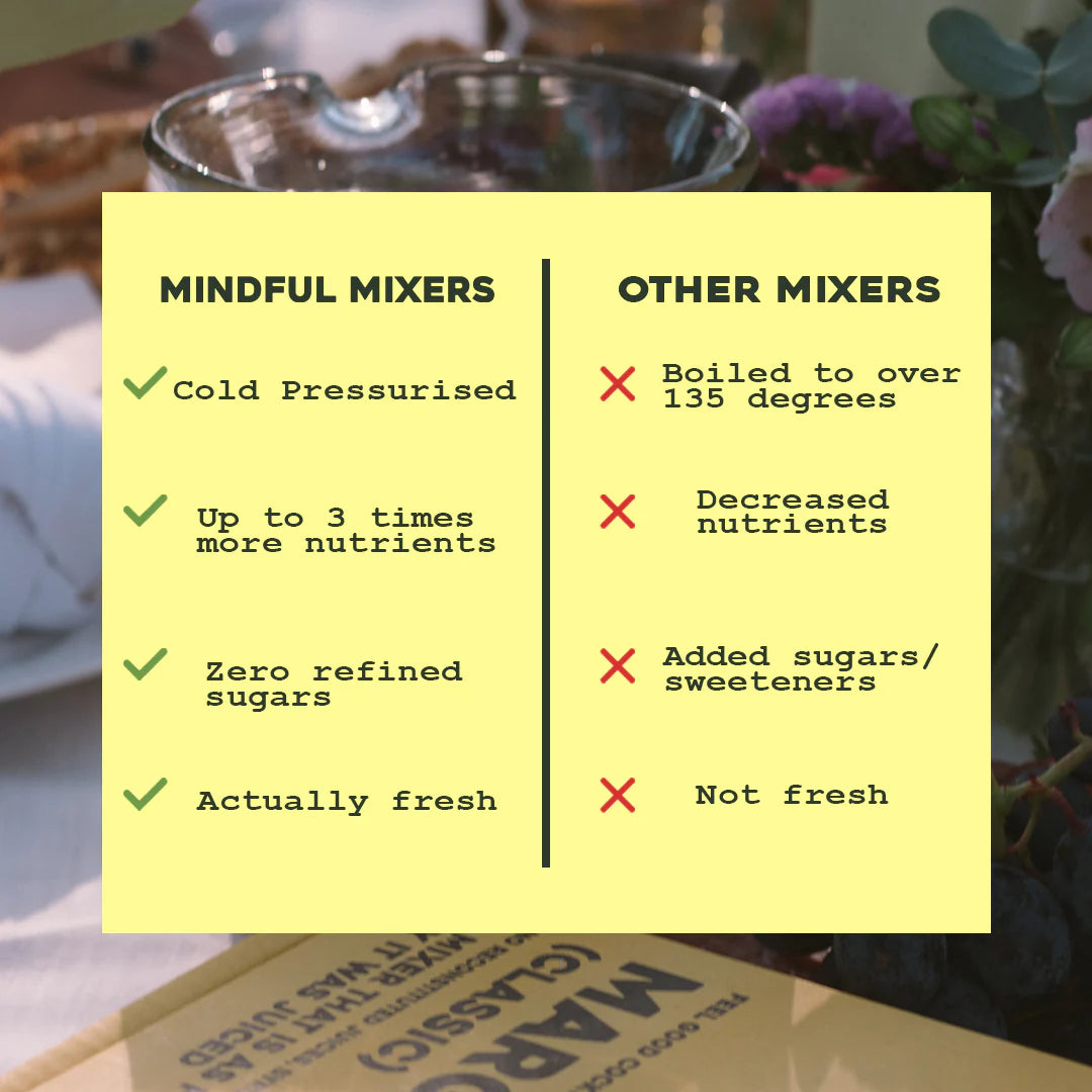 MARGARITA MIXER - CLASSIC