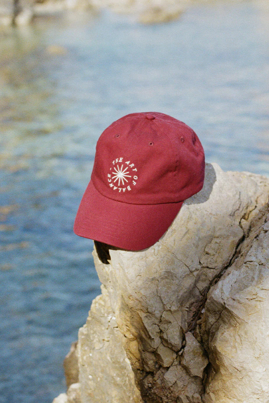 THE ART CAP - BERRY