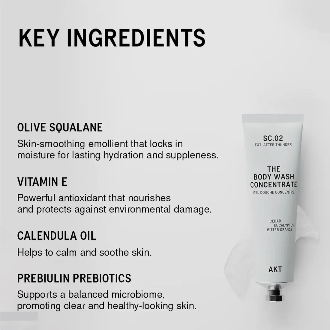 The Body Wash Concentrate SC.02 EXT. AFTER THUNDER
