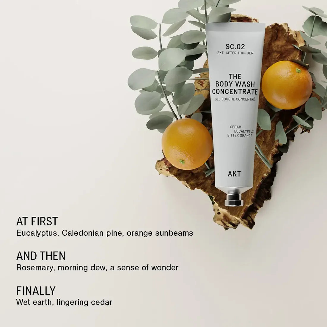 The Body Wash Concentrate SC.02 EXT. AFTER THUNDER
